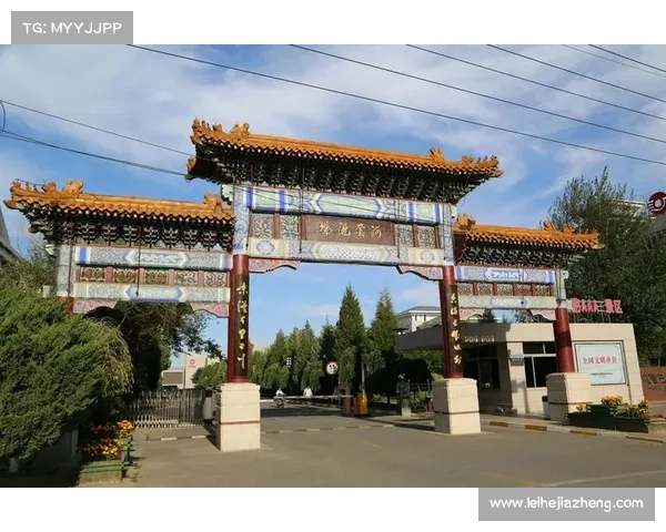 巴舒亚伊掌握五种语言的秘密全面揭秘展现多语言天赋魅力